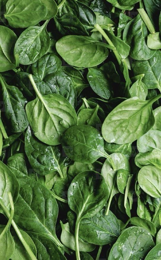 Épinard vrac