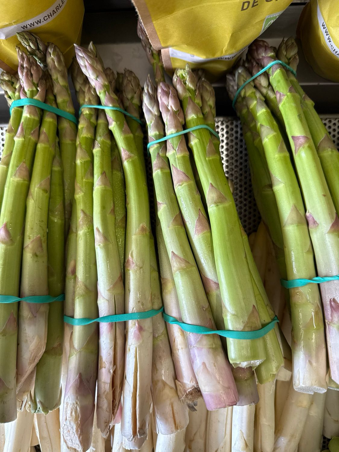 Asperge verte ( kg )