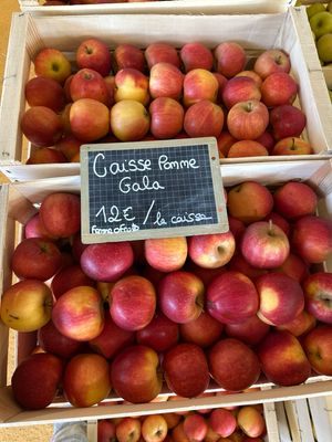 Caisse pomme Gala (12kg)