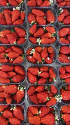 Fraise gariguette locale (250g)
