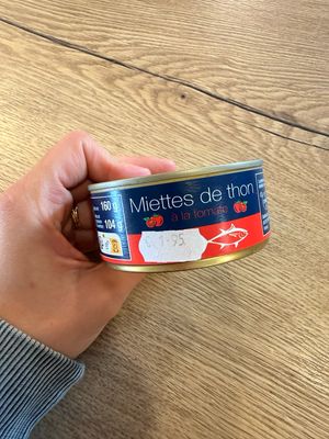 Miettes de thon à la tomate