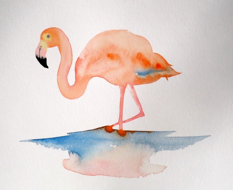 pink flamingo