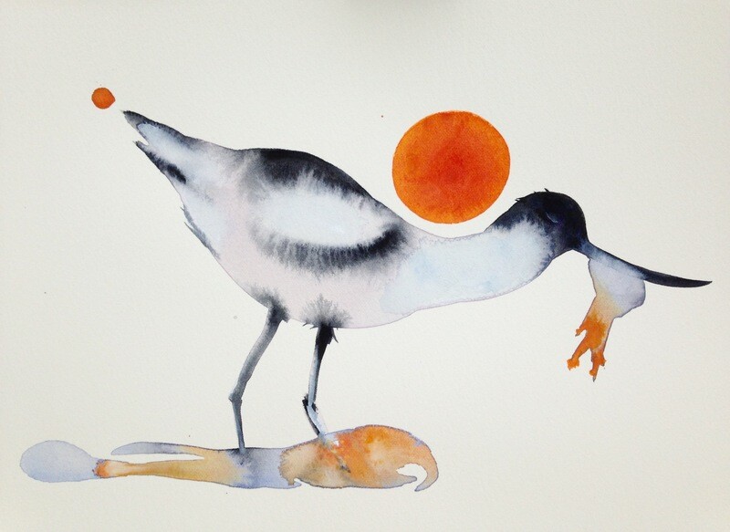 avocet with yellyfish