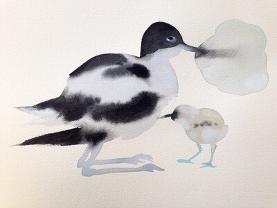 avocet with child