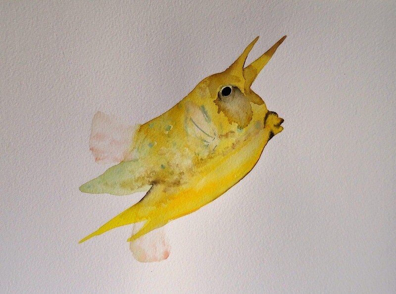 boxfish