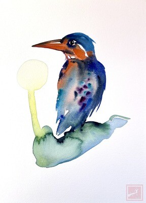kingfisher #1