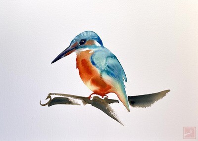kingfisher #3