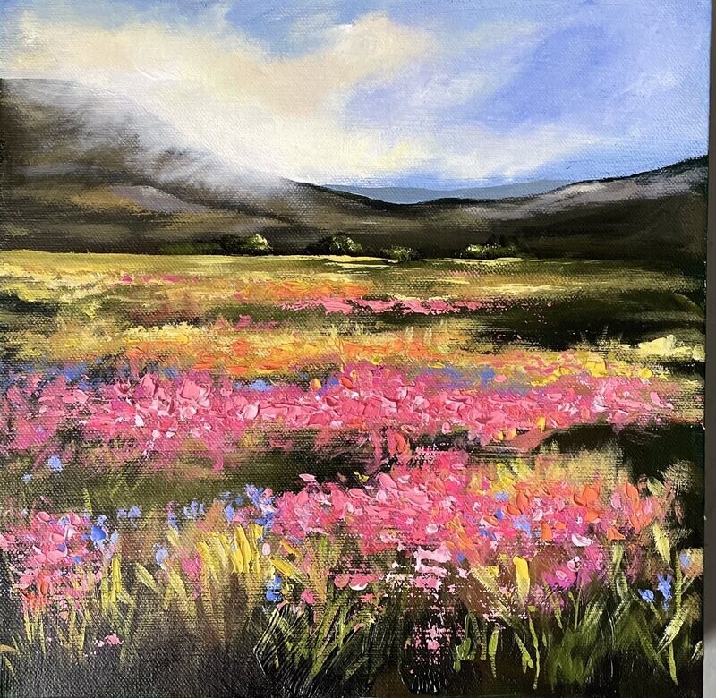 'The Meadow'