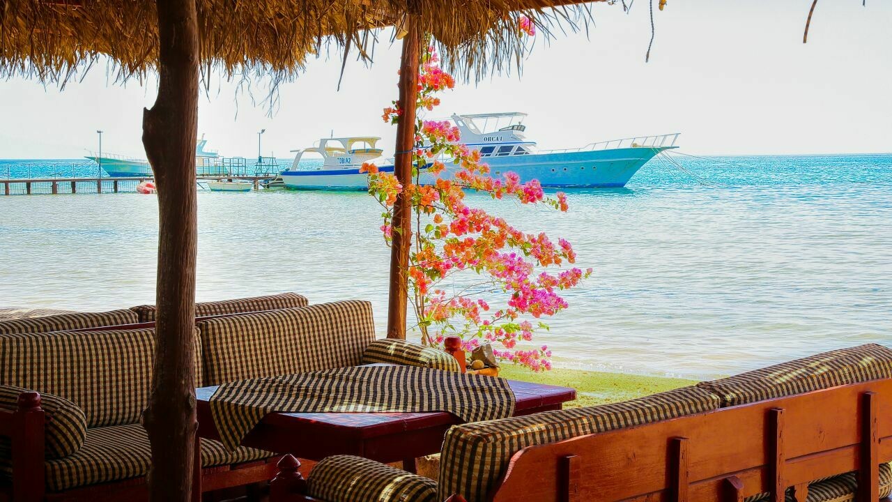 Hotel Orca Village **