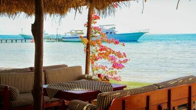 Hotel Orca Village **