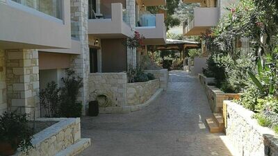 Cactus Royal ****