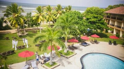 The Palms ***