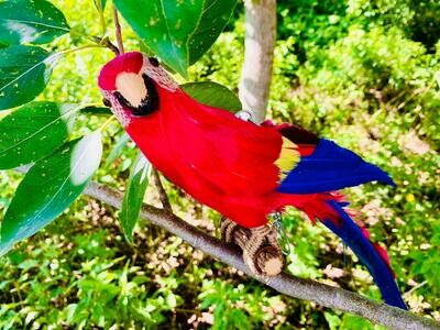 Feder-Papagei 32cm Farbe: rot, grün und blau