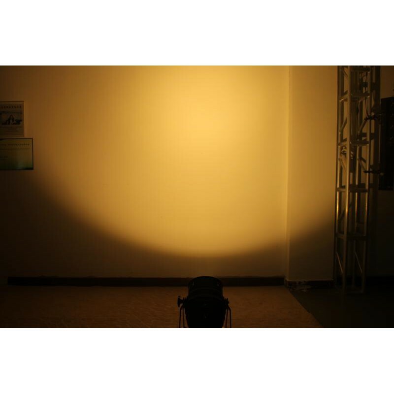 Projecteur à LED Nicols Cob 100 MW II