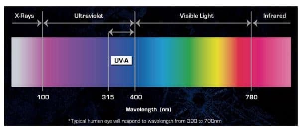 Projecteur UV lumière noire Antari Dark Spot 670