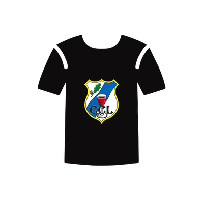 Shirts / Polos