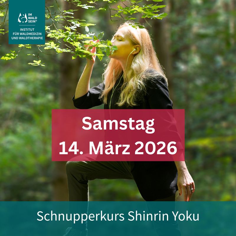 14.03.2026|Schnupperkurs Shinrin Yoku 14.03.2026|Schnupperkurs Shinrin Yoku