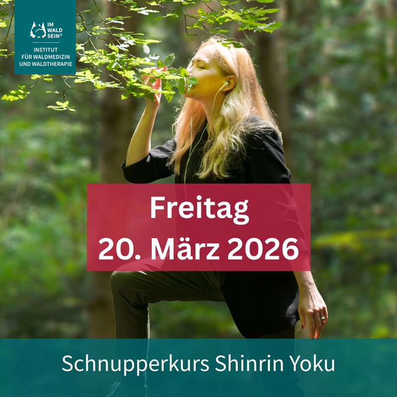 20.03.2026|Schnupperkurs Shinrin Yoku 20.03.2026|Schnupperkurs Shinrin Yoku