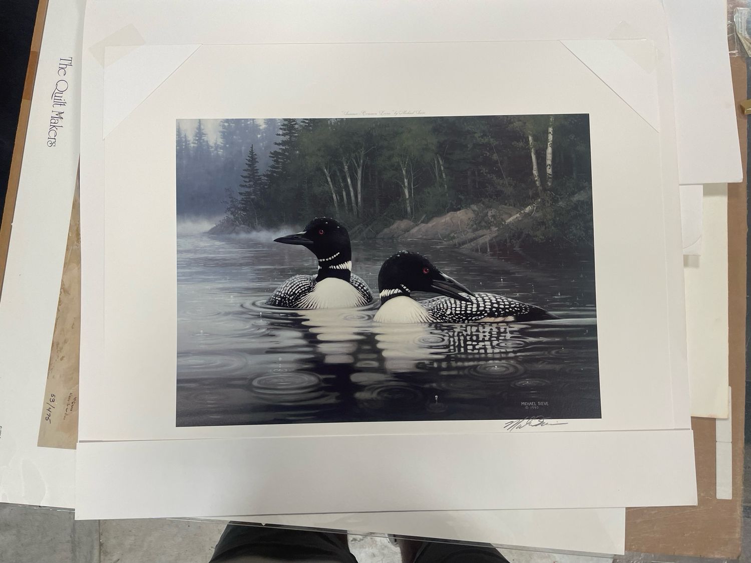 Summer Common Loons  Signature Edition Print