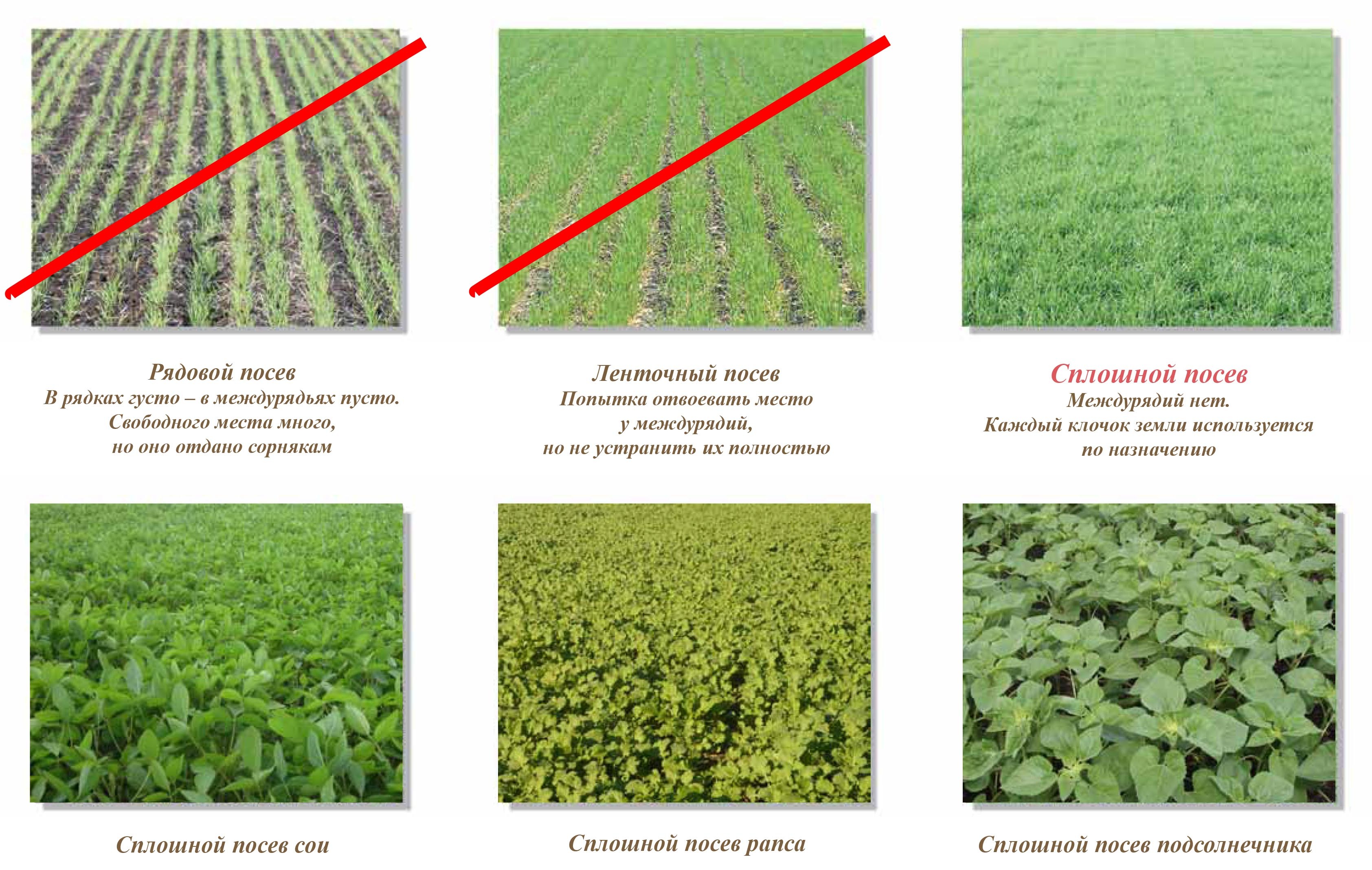 методы определения посевов. метод серийных разведений схема. схема санитарно-микробиологического исследования воды. критерии чувствительности микроорганизмов к антибиотикам. метод коха серийных разведений.
