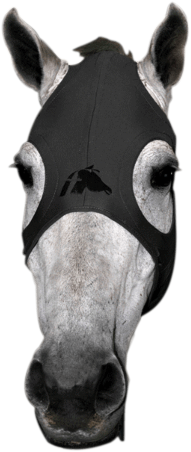 Fenwick Titanium Stressmaske