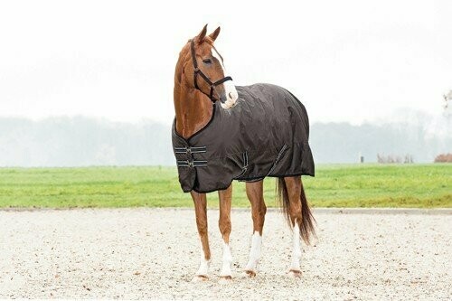 Winterdecke - Turnout 200g Winterdecke - Turnout 200g