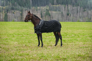 Back on Track Netzdecke