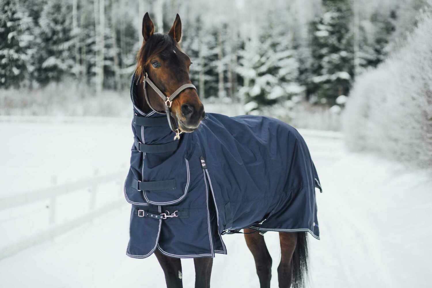 Finntack Pro Alaska Combo Winterdecke