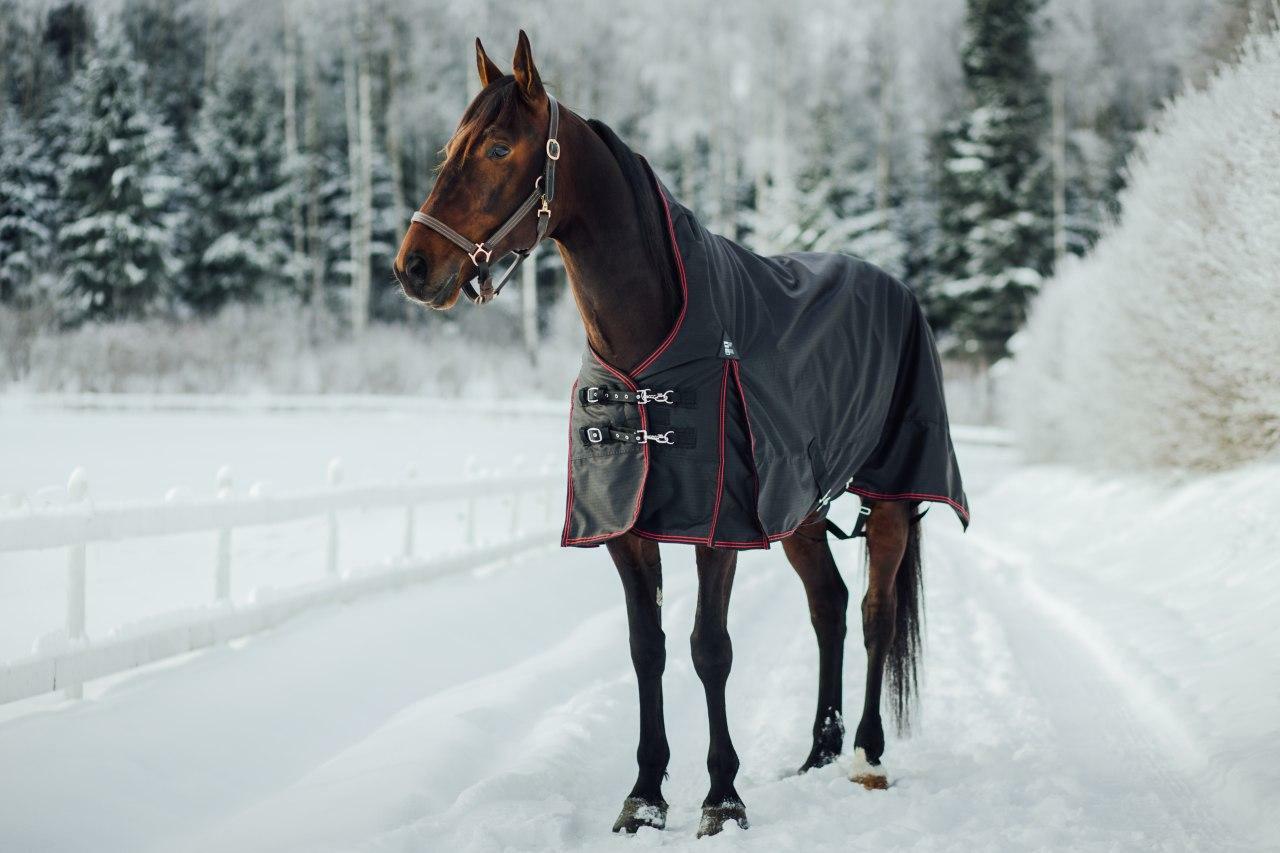 Pro Alaska Winterdecke Highneck