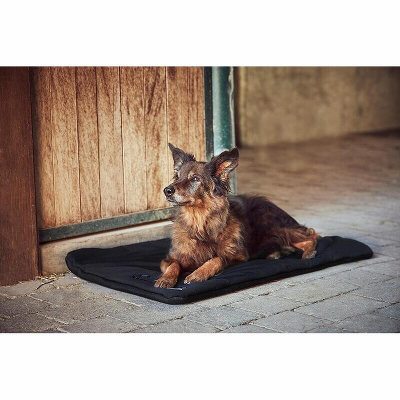 Catago FirTech Pro Hundematte