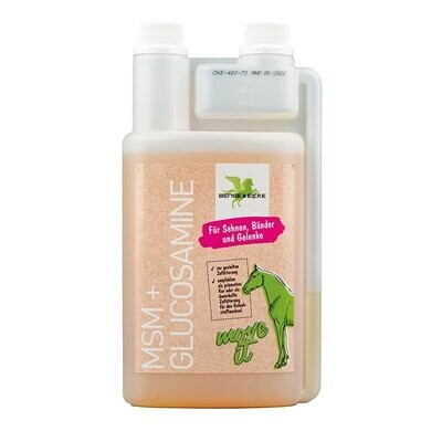 MSM + Glucosamine