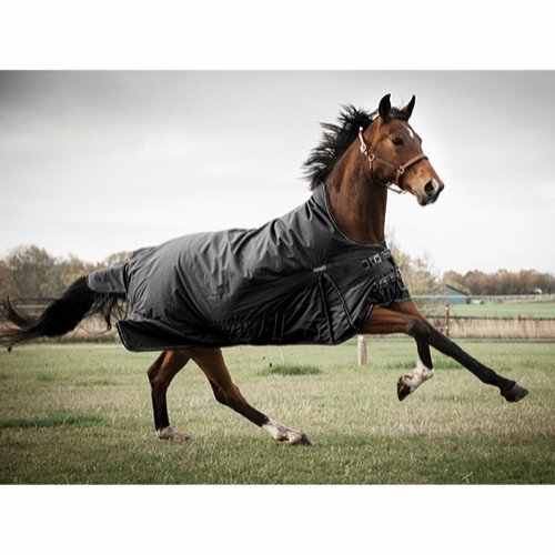 Outdoordecke Justin 2.0 150Gr.