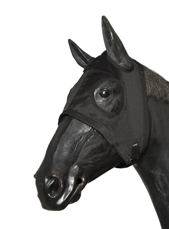 Wahlsten Schmutzmaske