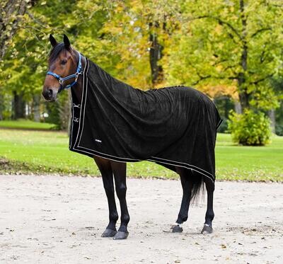 Pferd