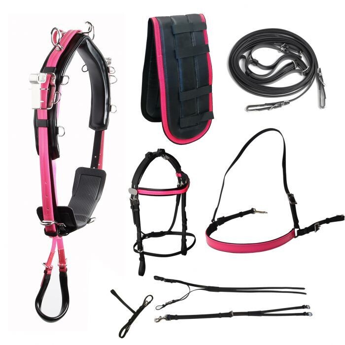 Star-Tack Minitraber Geschirr Set - Beta