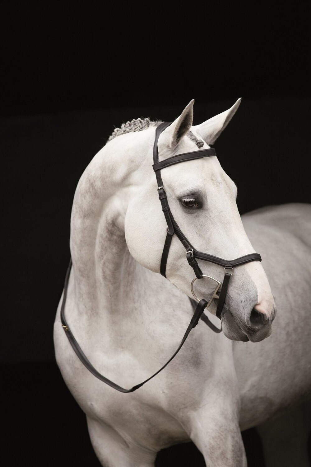 Horseware Rambo Micklem Competition