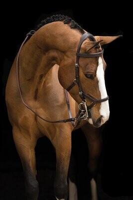 Horseware Rambo Micklem Competition