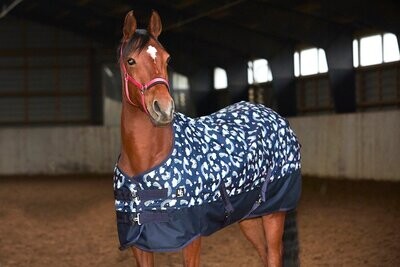Pony