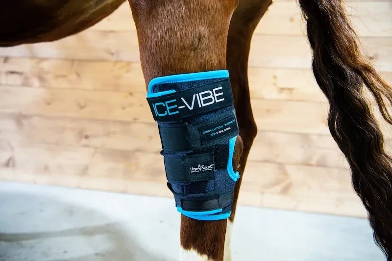 Horseware Ice Vibe Sprunggelenksgamaschen