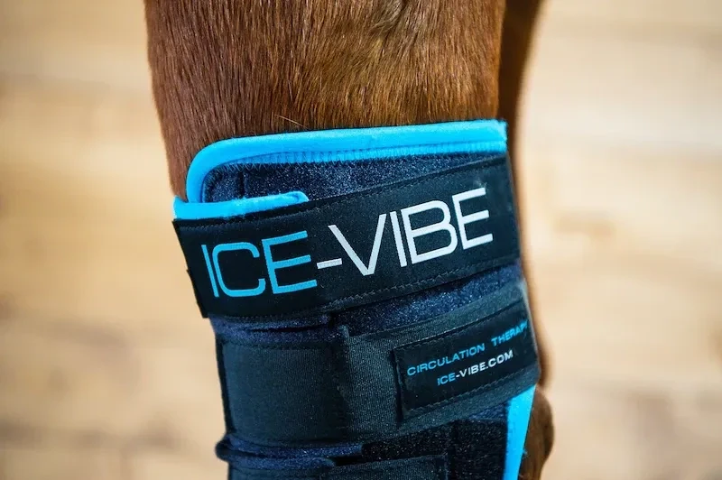 Horseware Ice Vibe Sprunggelenksgamaschen