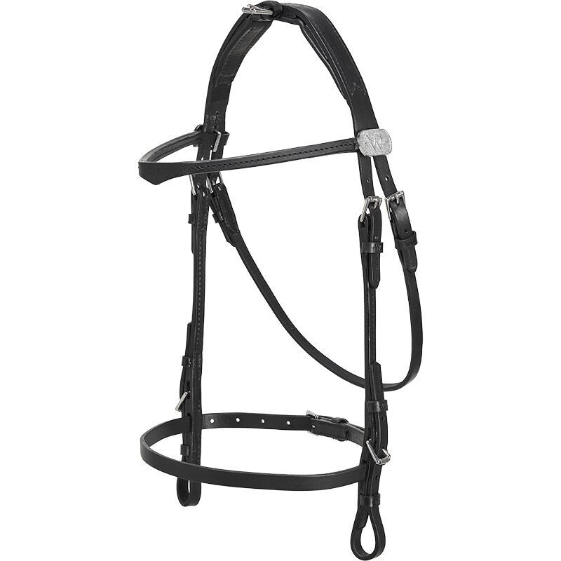 Wahlsten Lederzaum Light & Strong