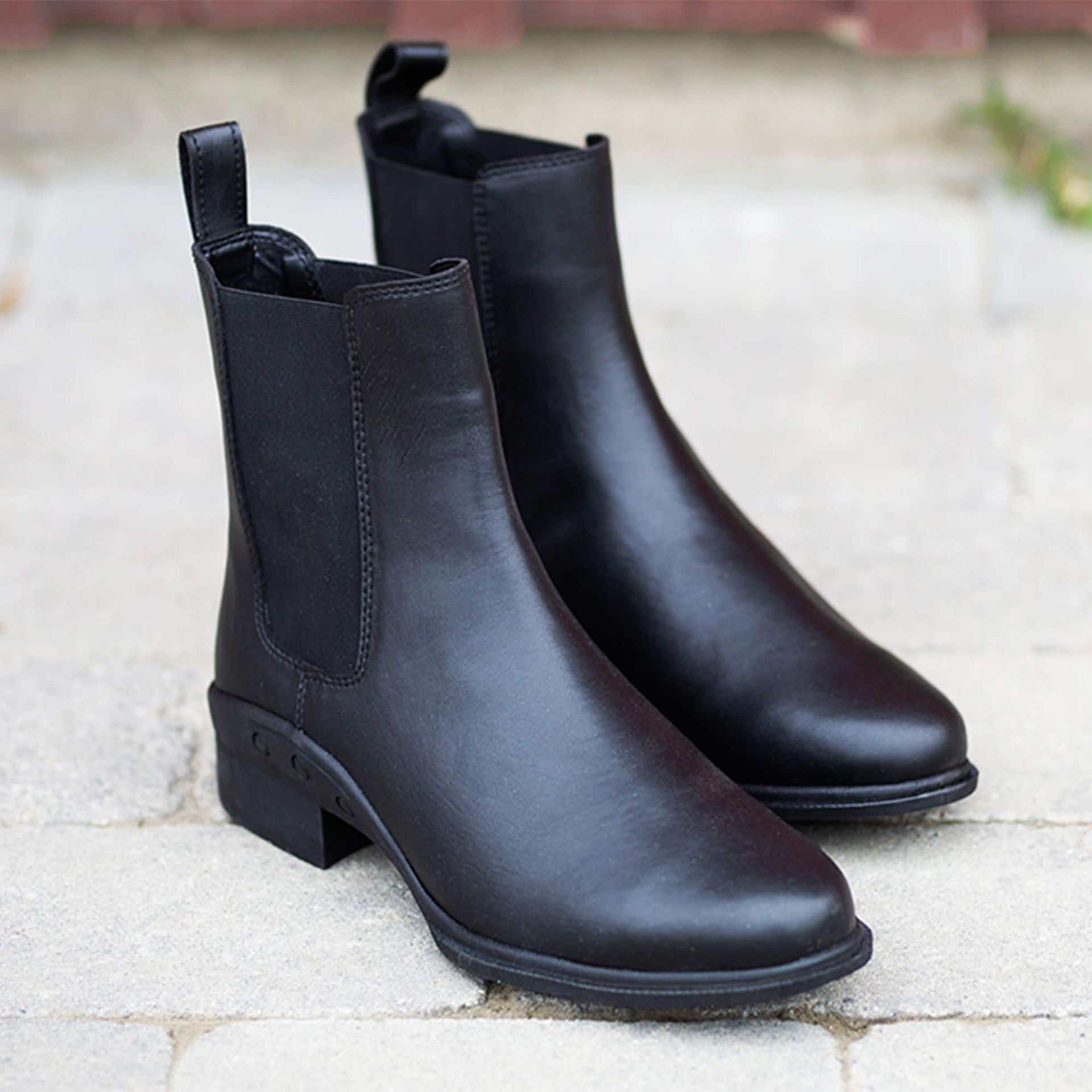Finntack Pro Jodphur Stiefeletten