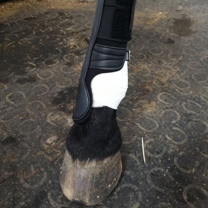 Dr. Horse Kneetape 10cm x 4,5m