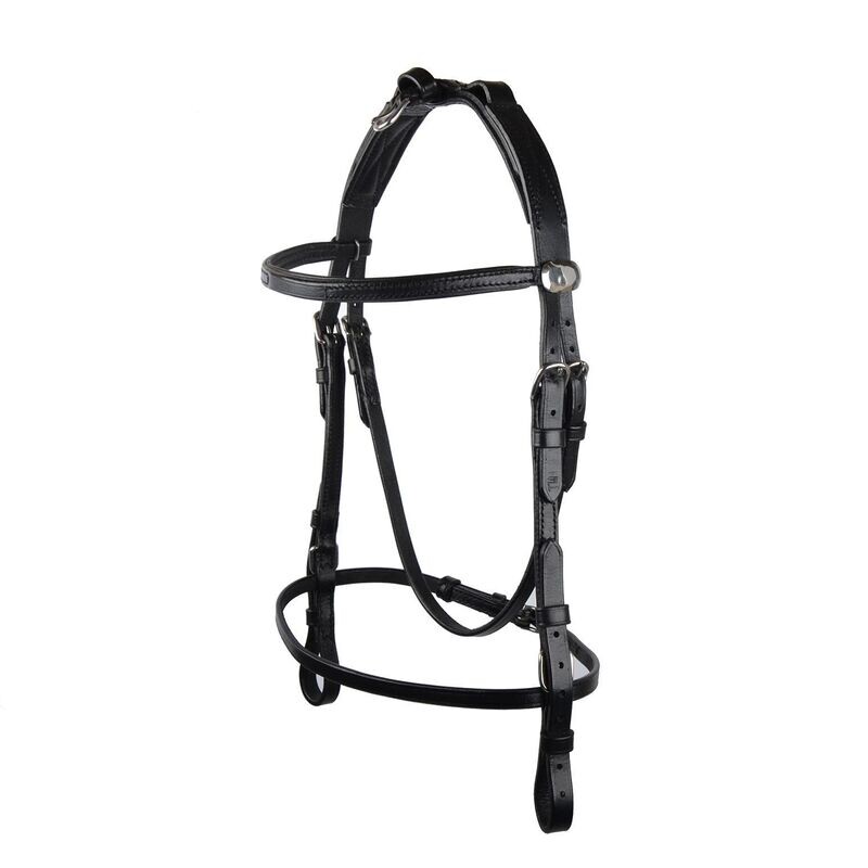 GP-Tack Lederzaum