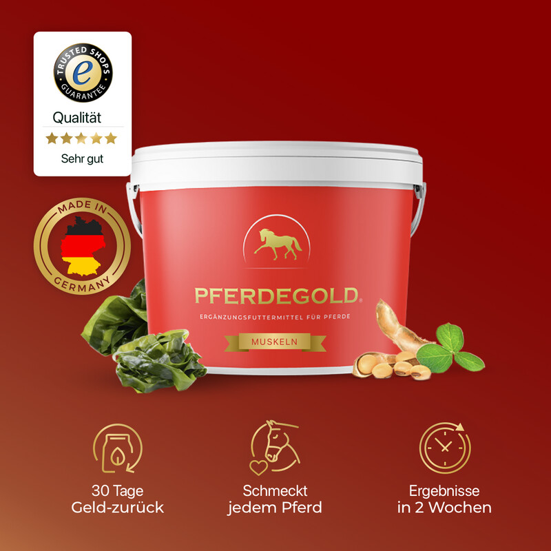 Pferdegold - Muskeln