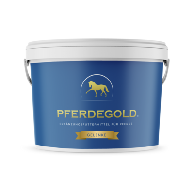 Pferdegold - Gelenke