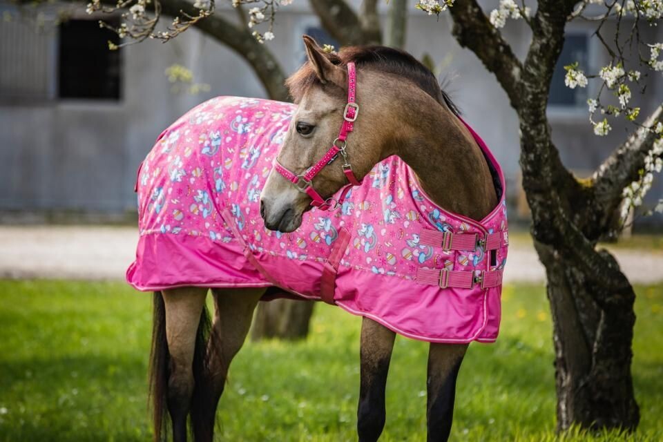 HG Josh Pony Outdoordecke  200gr