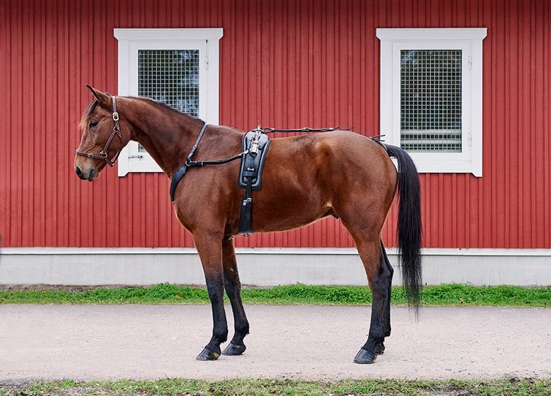 Wahlsten Nurmos Premium Leder QH Geschirr