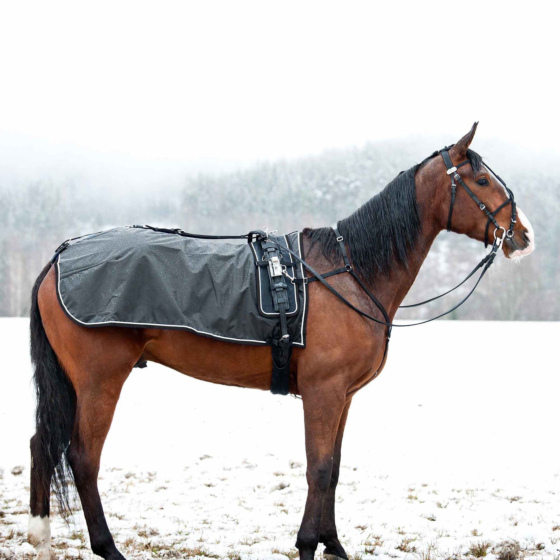 Pro Endura Quarter Sheet - Rückenfahrdecke