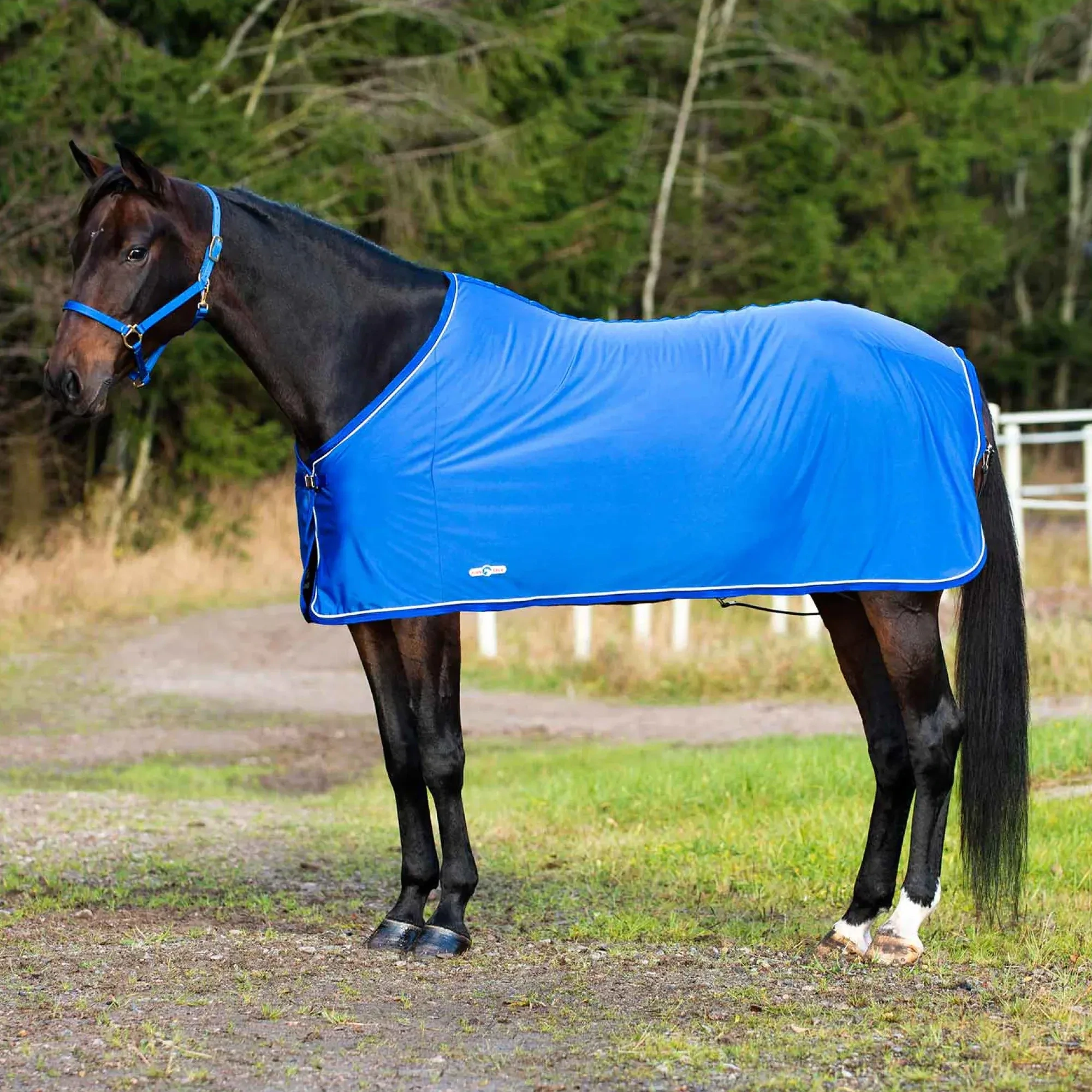 Finntack Pro Pritex Summer Decke